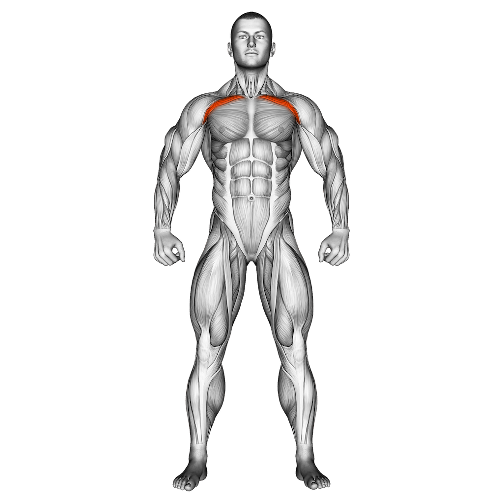 Body intelligence figure